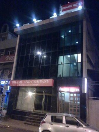 The Dhamu Hotel Jaipur Bagian luar foto
